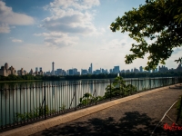 Skyline From Central Park