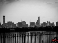 Skyline From Central Park