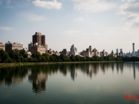 Skyline From Central Park