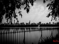 Skyline From Central Park